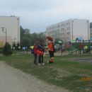 dnio 7